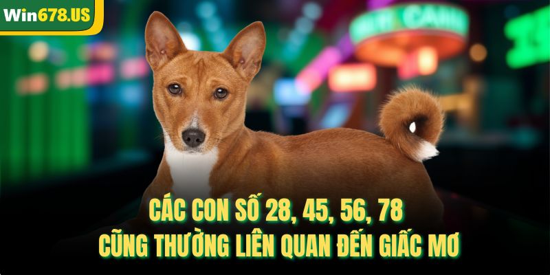 Các con số 28, 45, 56, 78 cũng thường liên quan đến giấc mơ