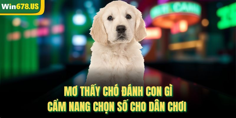 Mơ Thấy Chó Đánh Con Gì - Cẩm Nang Chọn Số Cho Dân Chơi