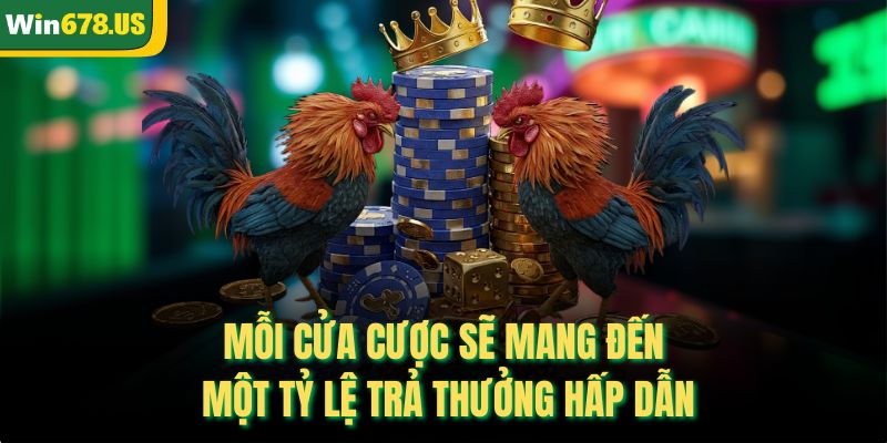 Mỗi cửa cược sẽ mang đến một tỷ lệ trả thưởng hấp dẫn