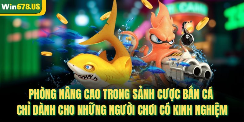 Phòng nâng cao trong sảnh cược bắn cá chỉ dành cho những người chơi có kinh nghiệm
